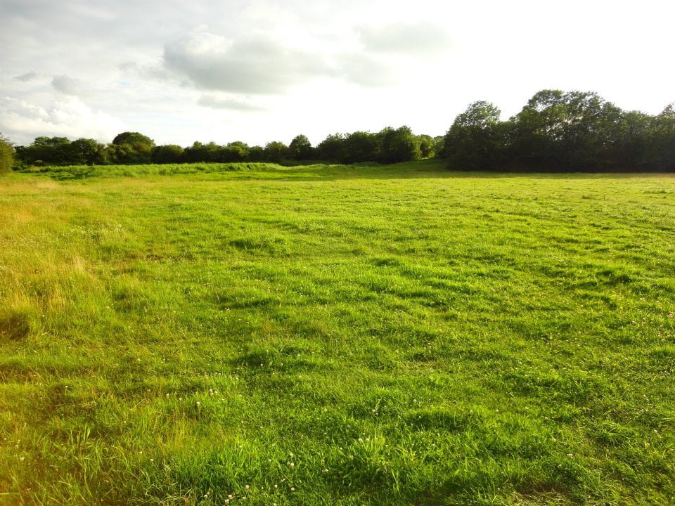 The field at Chedworth Farm